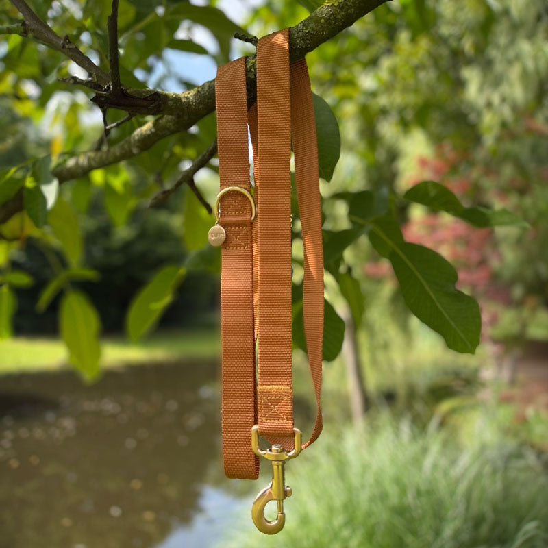 Klassische Hundeleine Honey Drift Cognac