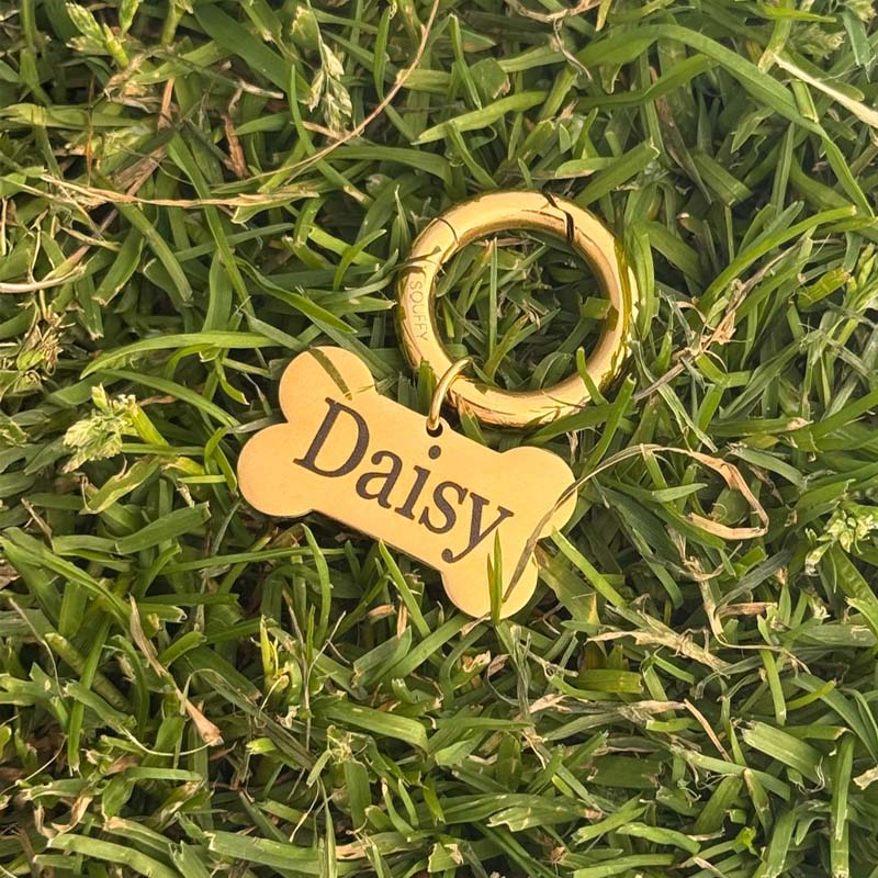 Gravierte Knochen-Marke