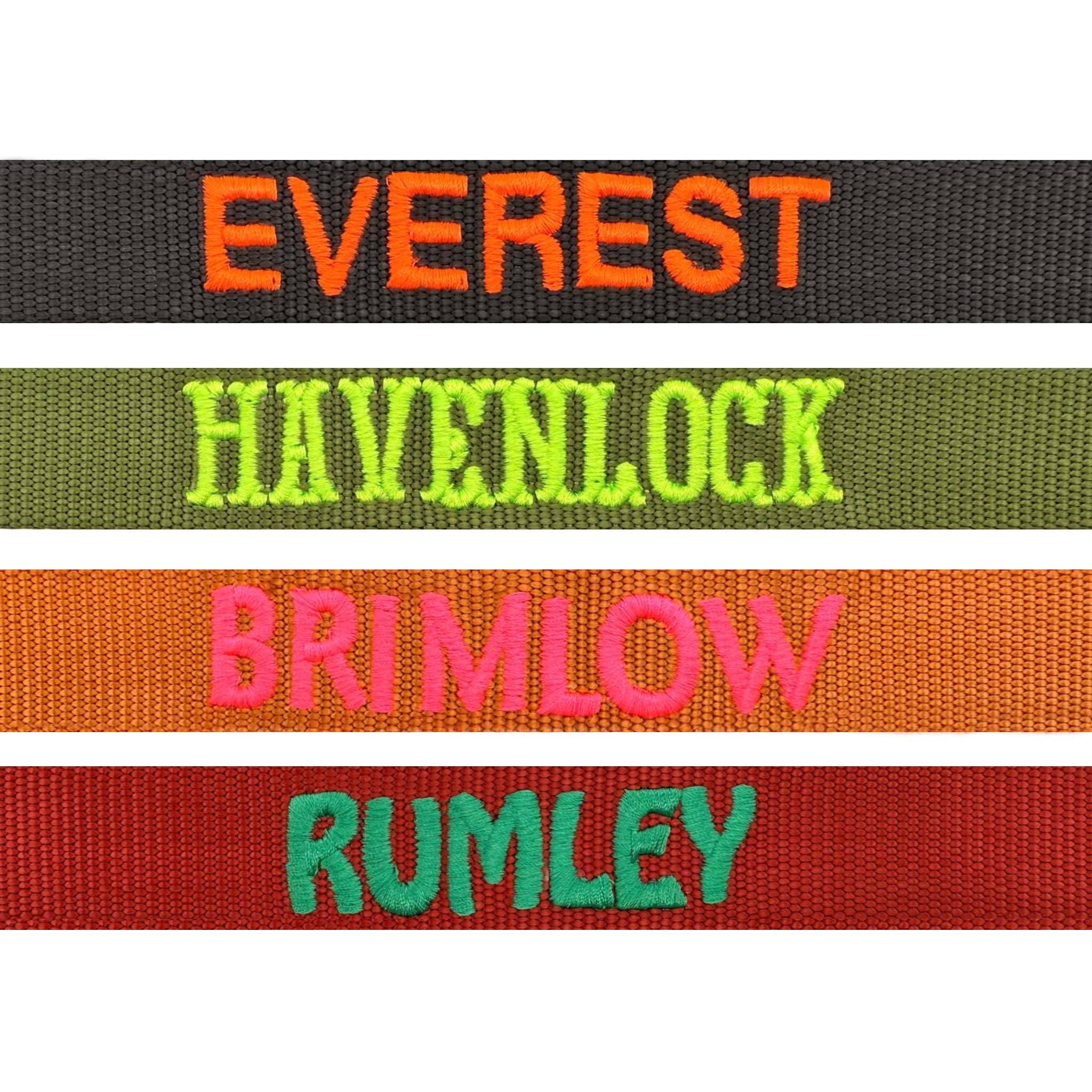 Klassisches Hundehalsband Raven Illume Schwarz