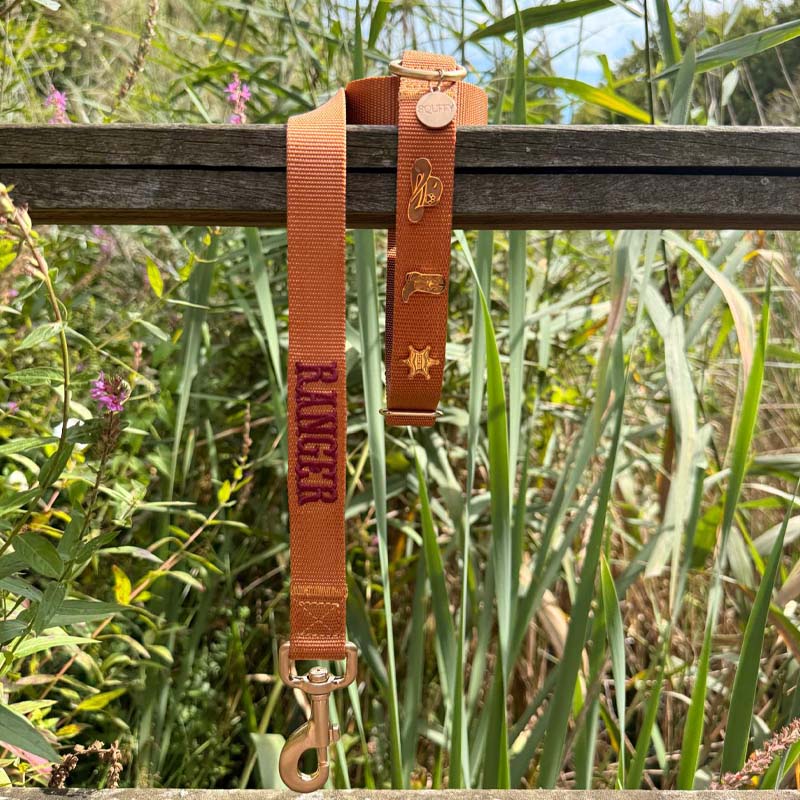 Klassisches Hundehalsband Honey Drift Cognac