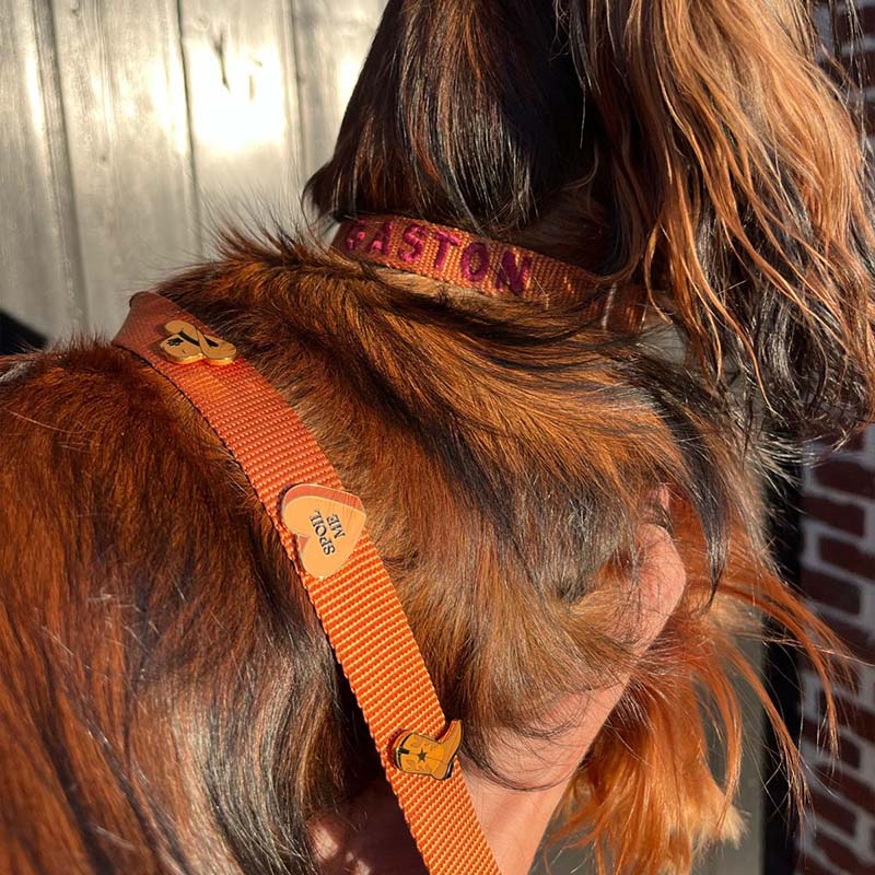 Welpenhalsband Honey Drift Cognac