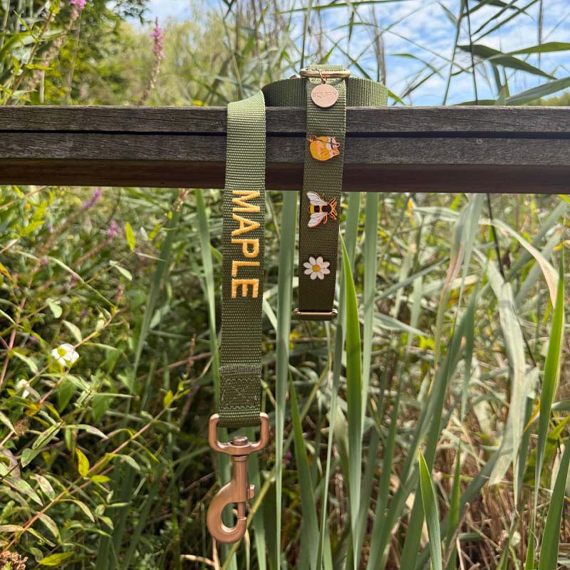 Klassisches Hundehalsband Moss Breeze Olivgrün