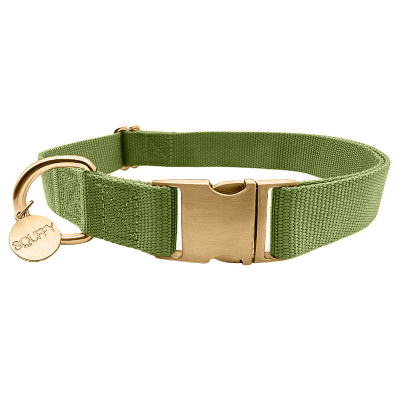 Klassisches Hundehalsband Moss Breeze Olivgrün