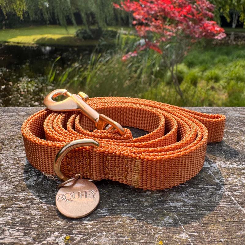 Welpenleine Honey Drift Cognac