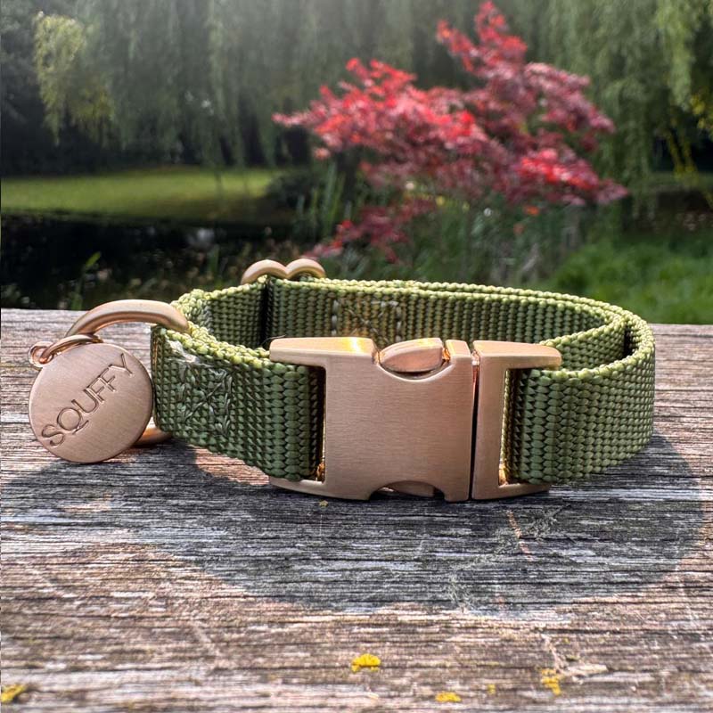 Welpenhalsband Moss Breeze Olivgrün