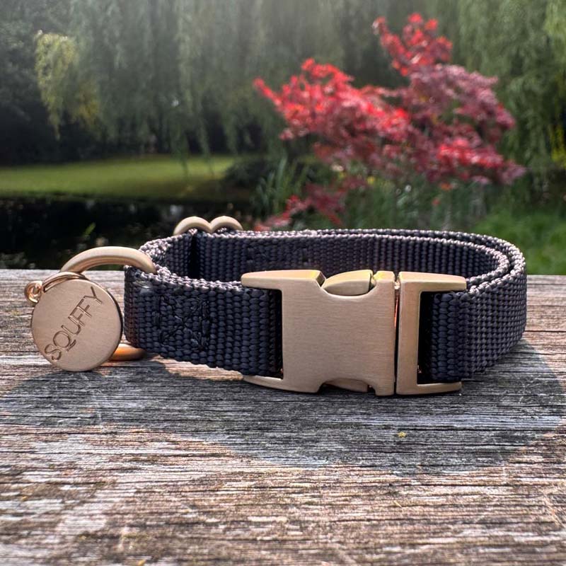 Welpenhalsband Raven Schwarz