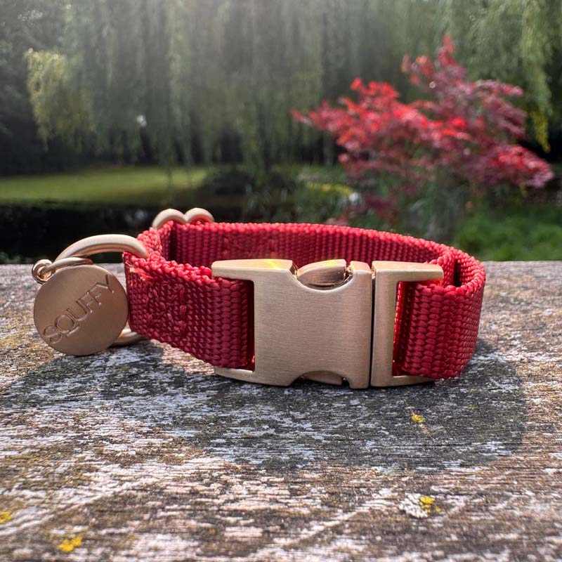 Welpenhalsband Ruby Gale Rubinrot
