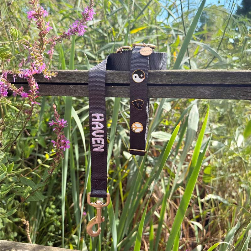 Klassische Hundeleine Raven Illume Schwarz