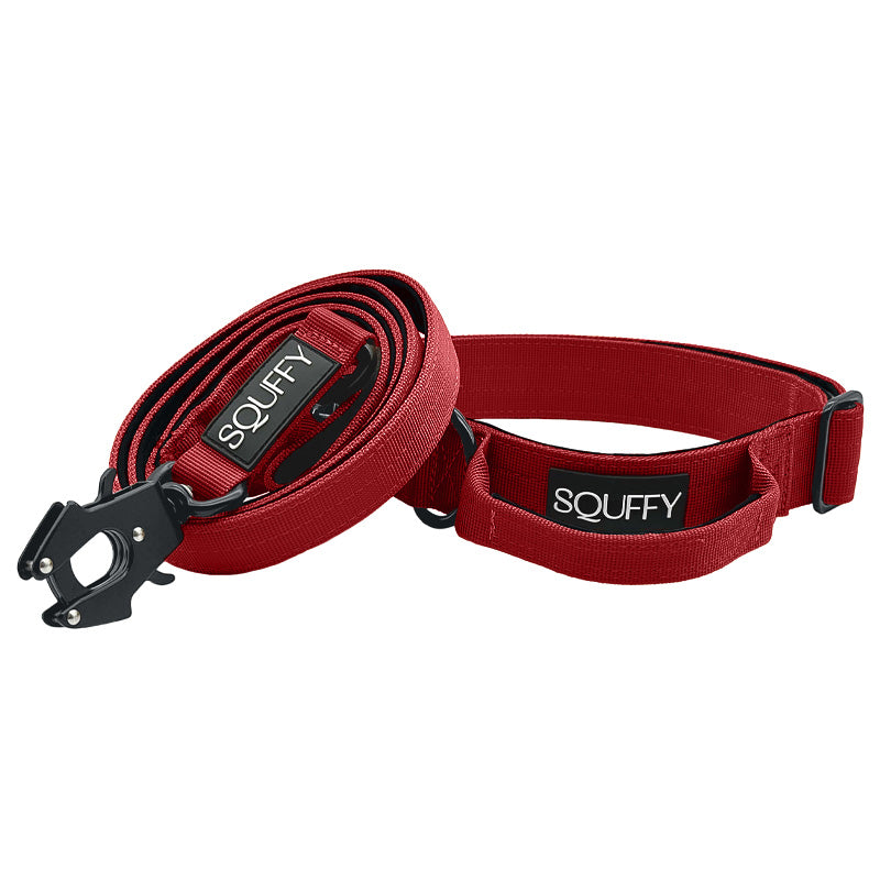 Taktisches Hundehalsband Ruby Vandal Rubinrot