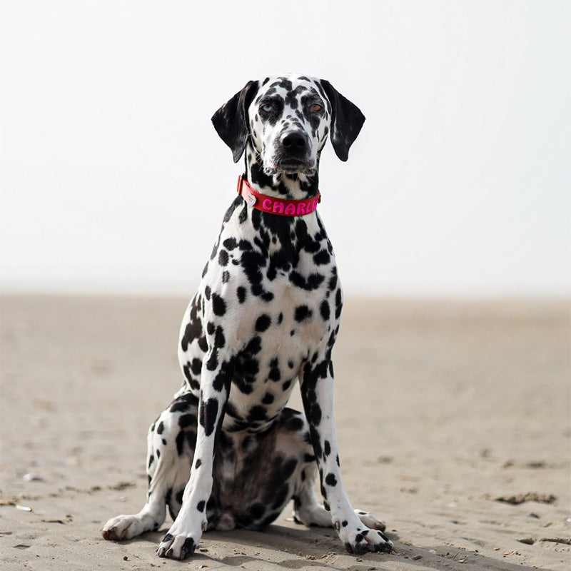 Klassisches Hundehalsband Ruby Gale Rubinrot