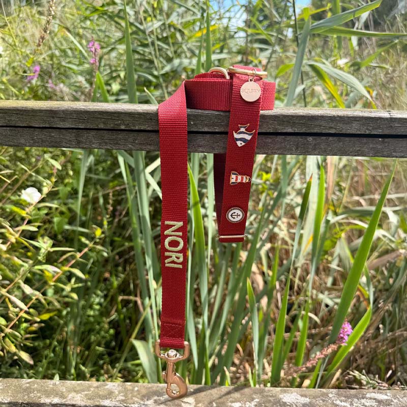 Klassisches Hundehalsband Ruby Gale Rubinrot