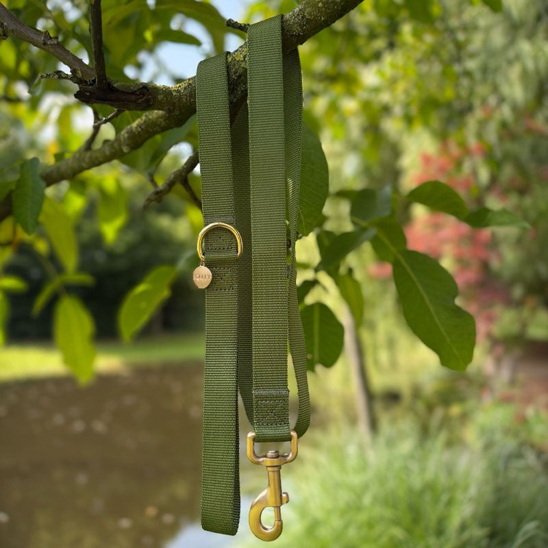 Klassische Hundeleine Moss Breeze Olivgrün