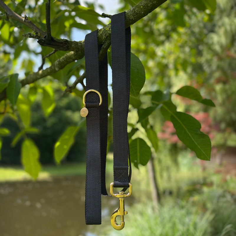 Klassische Hundeleine Raven Illume Schwarz