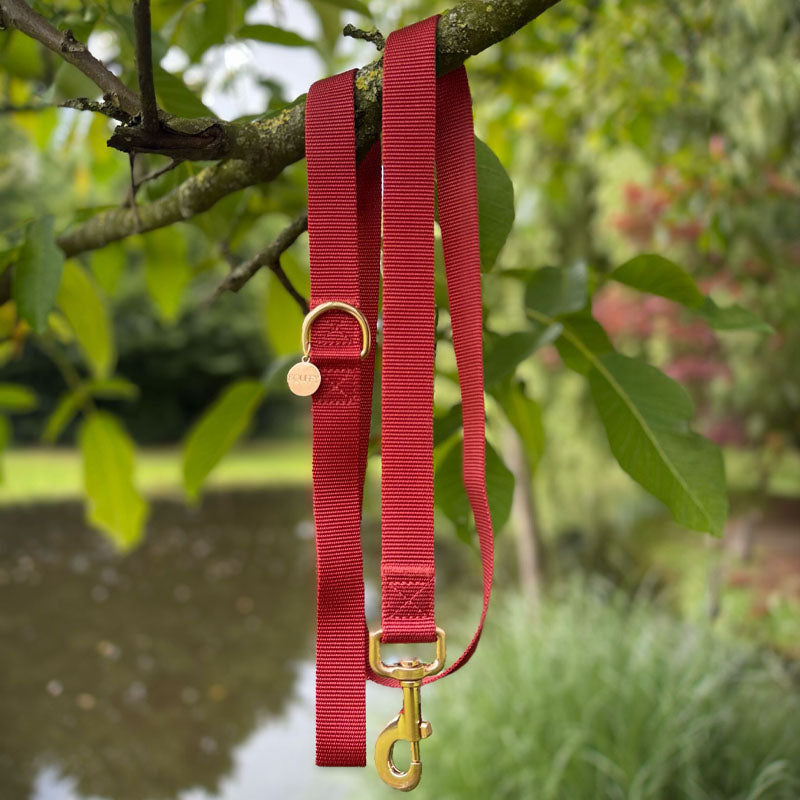 Klassische Hundeleine Ruby Gale Rubinrot
