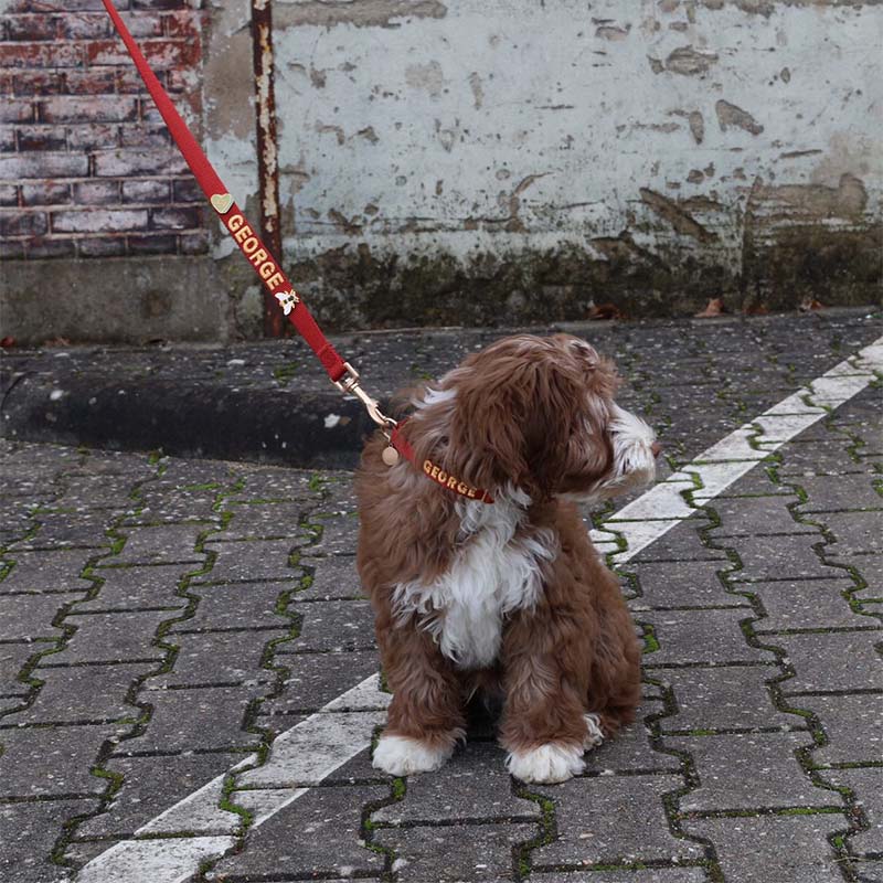 Welpenhalsband Ruby Gale Rubinrot