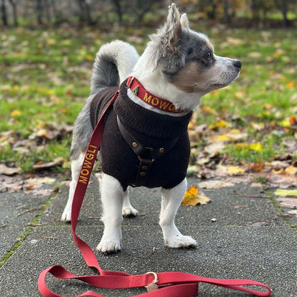 Klassische Hundeleine Ruby Gale Rubinrot
