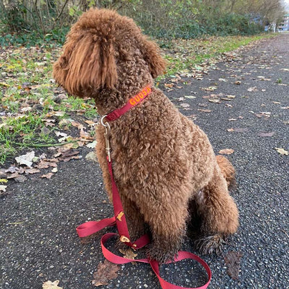 Klassische Hundeleine Ruby Gale Rubinrot