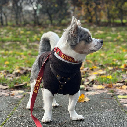 Klassisches Hundehalsband Ruby Gale Rubinrot