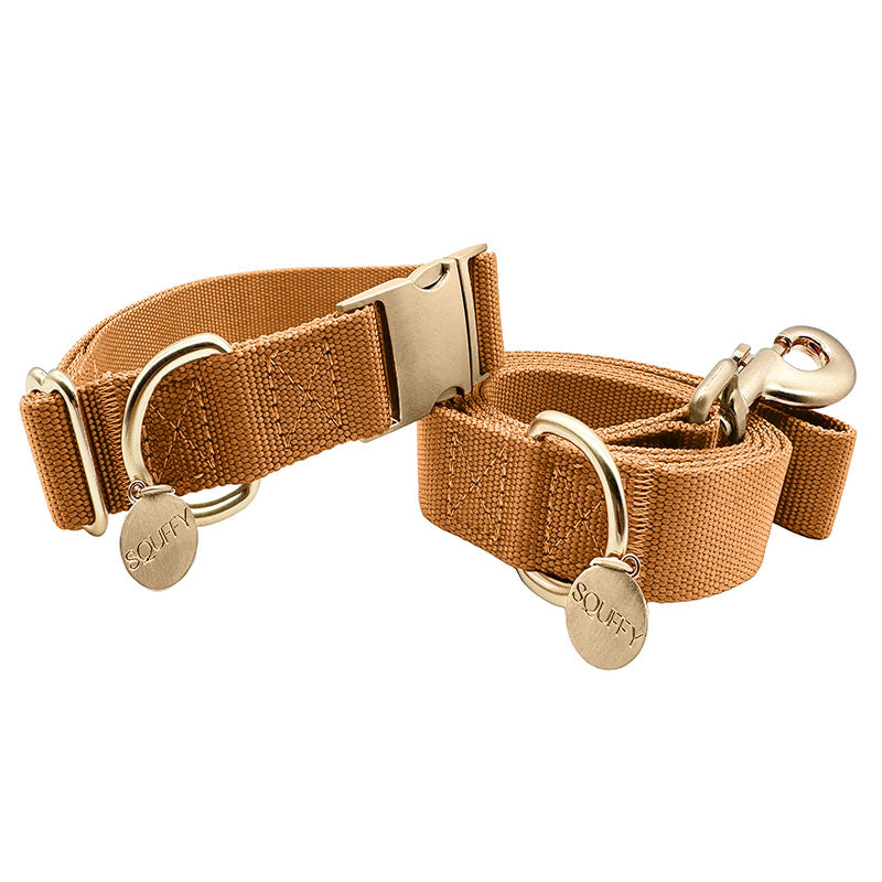 Klassisches Hundehalsband Honey Drift Cognac