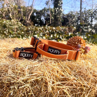 Taktisches Hundehalsband Honey Maze Cognac