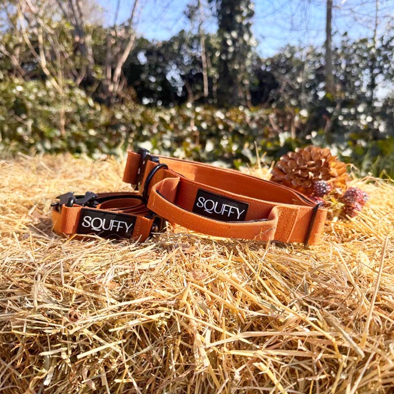 Taktisches Hundehalsband Honey Maze Cognac
