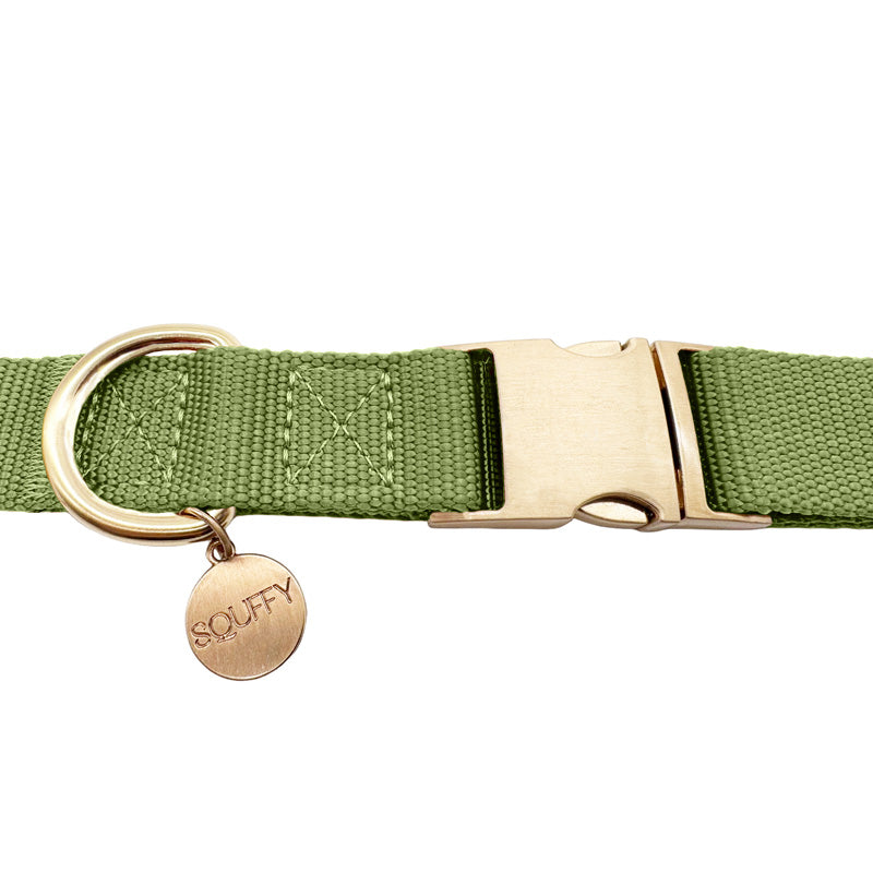 Klassisches Hundehalsband Moss Breeze Olivgrün
