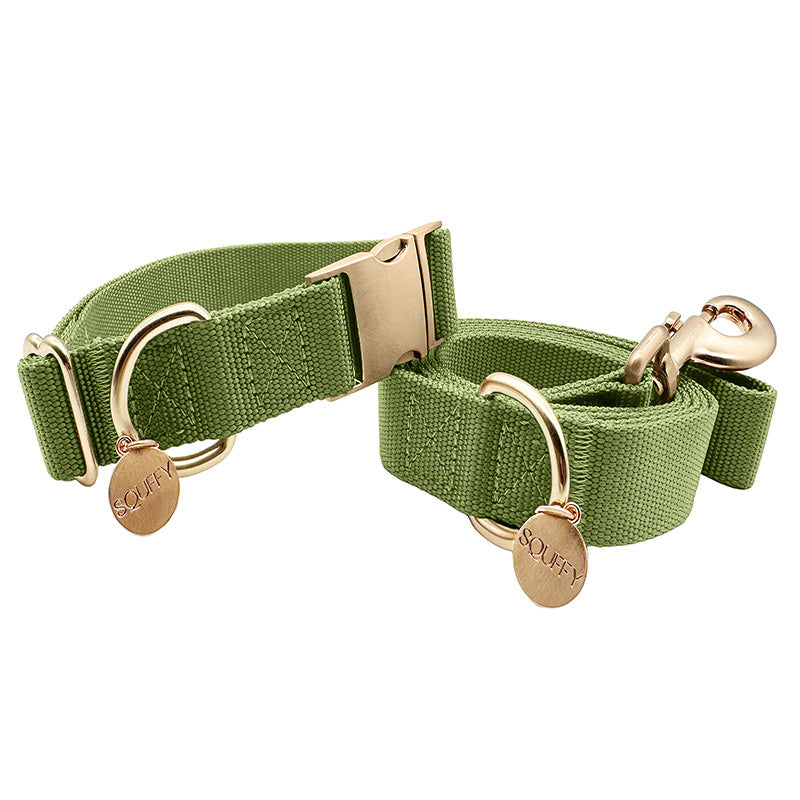 Klassisches Hundehalsband Moss Breeze Olivgrün