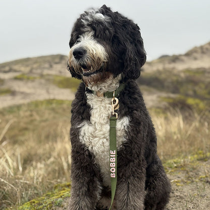 Klassische Hundeleine Moss Breeze Olivgrün