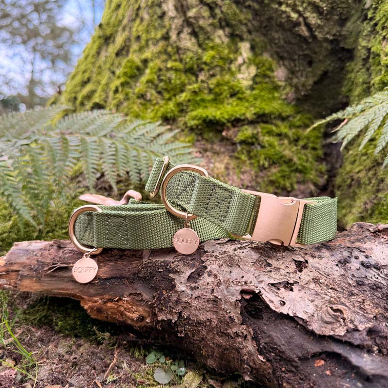 Klassisches Hundehalsband Moss Breeze Olivgrün