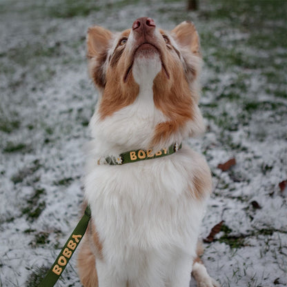 Klassisches Hundehalsband Moss Breeze Olivgrün