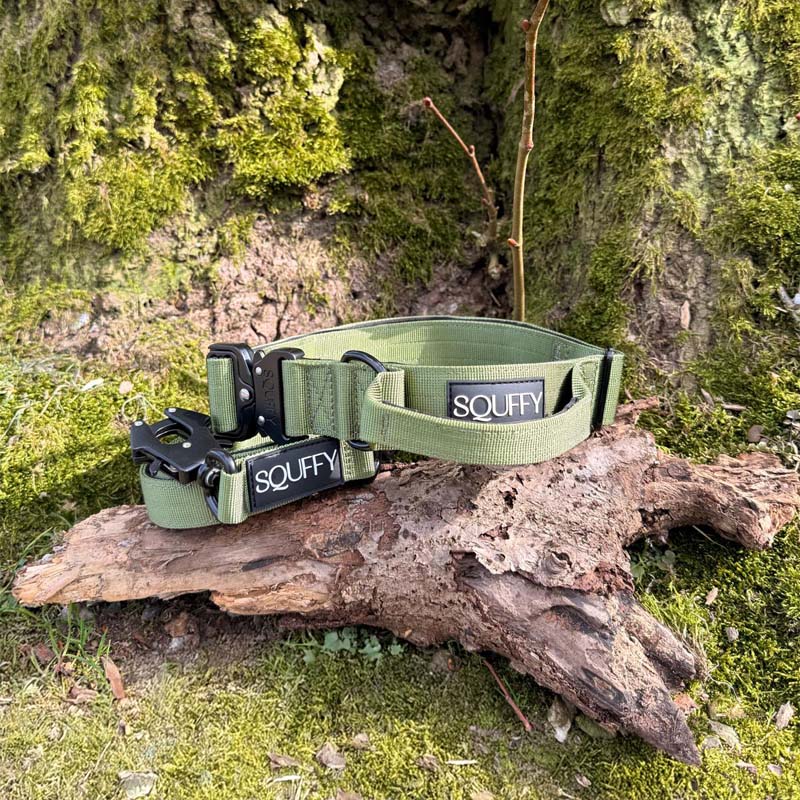 Taktisches Hundehalsband Moss Forge Olivgrün