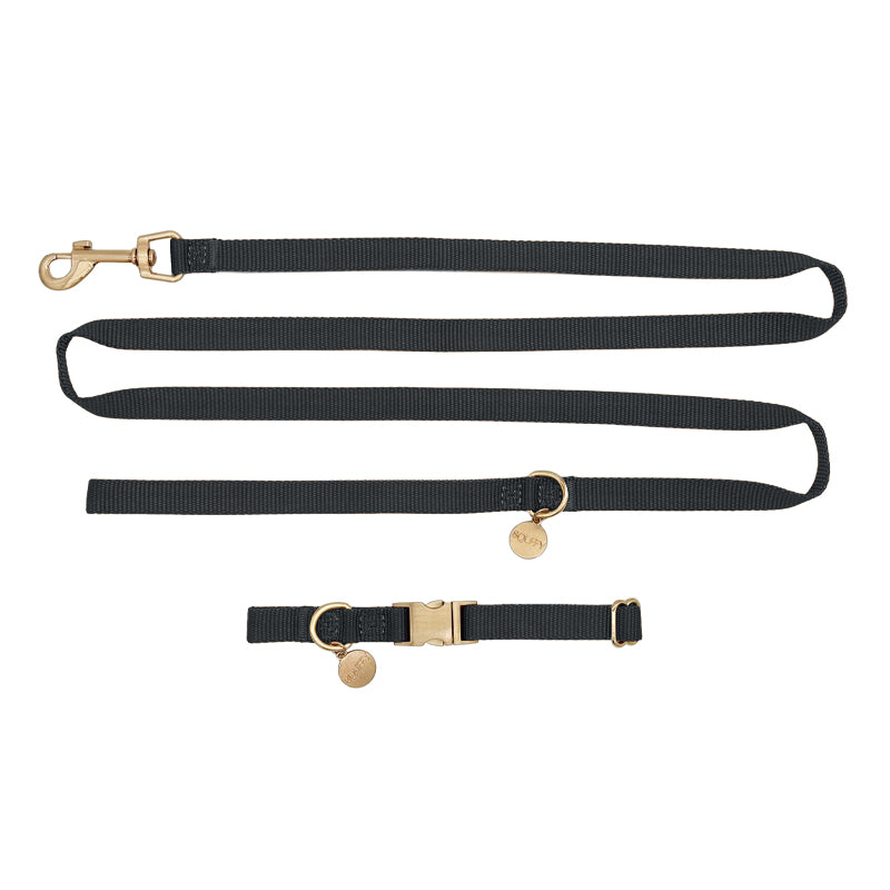 Welpenhalsband Raven Schwarz