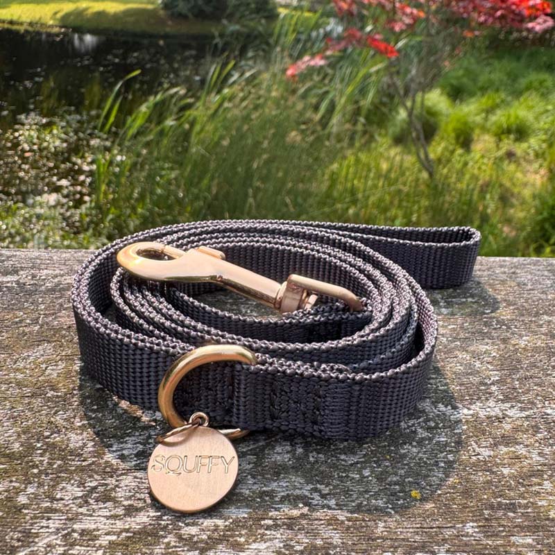 Welpenleine Raven Illume Schwarz