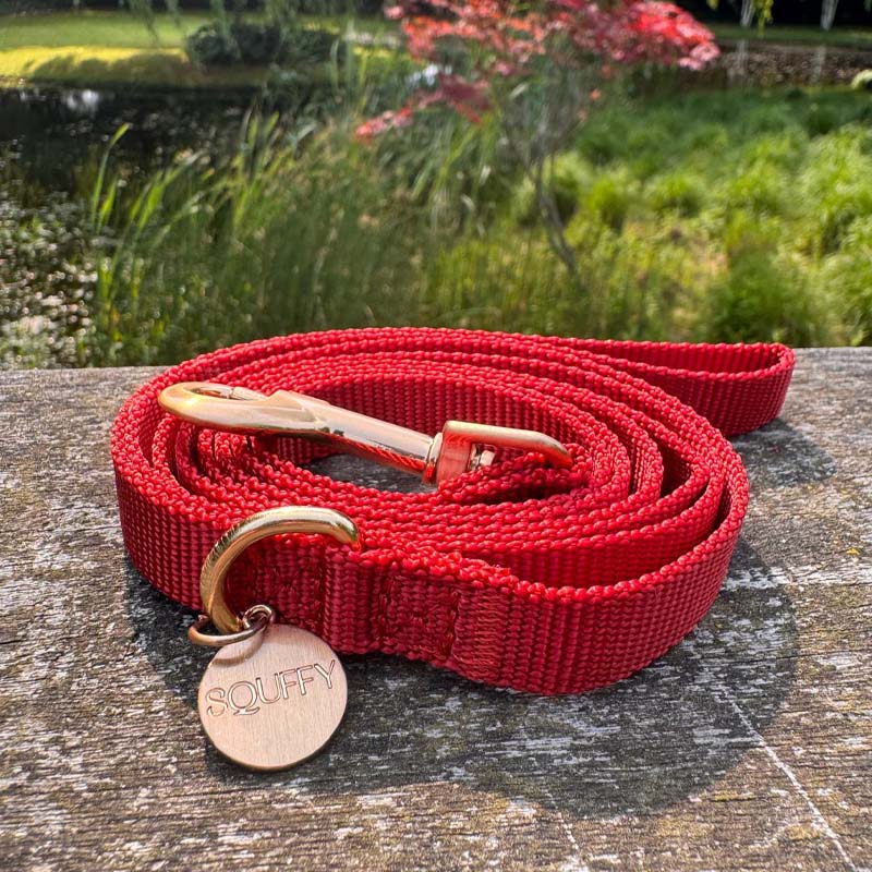Welpenleine Ruby Gale Rubinrot