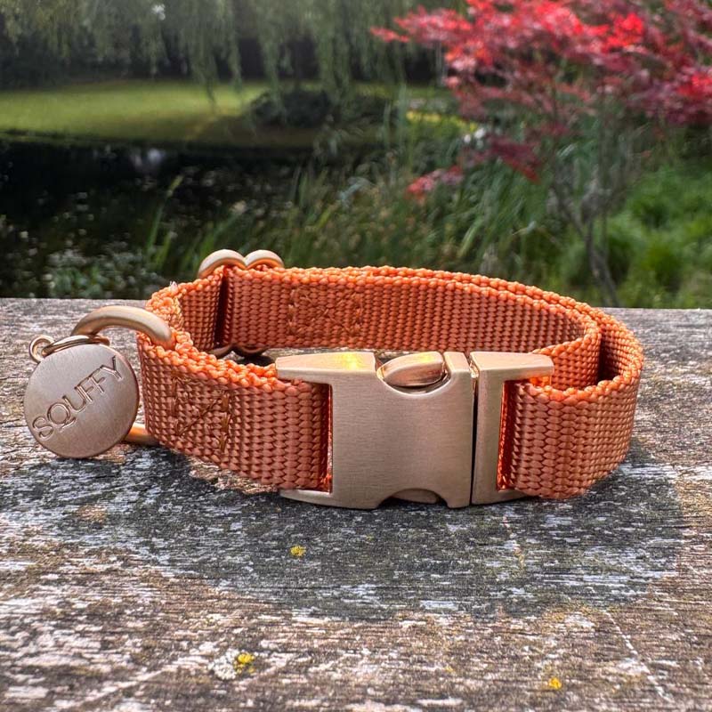 Welpenhalsband Honey Drift Cognac