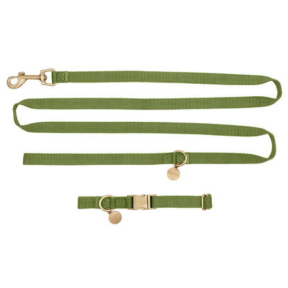 Welpenhalsband Moss Breeze Olivgrün