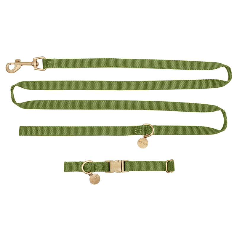 Welpenhalsband Moss Breeze Olivgrün