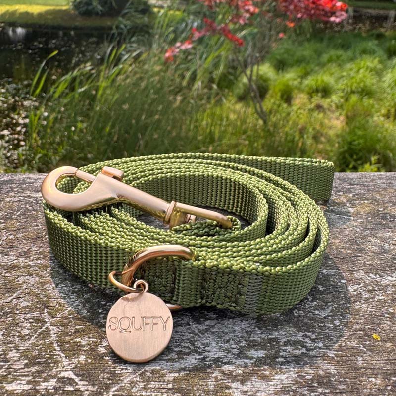 Welpenleine Moss Breeze Olivgrün