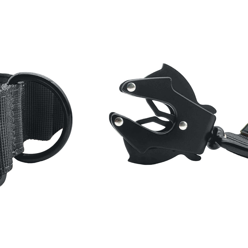 Taktisches Hundehalsband Raven Vex Schwarz
