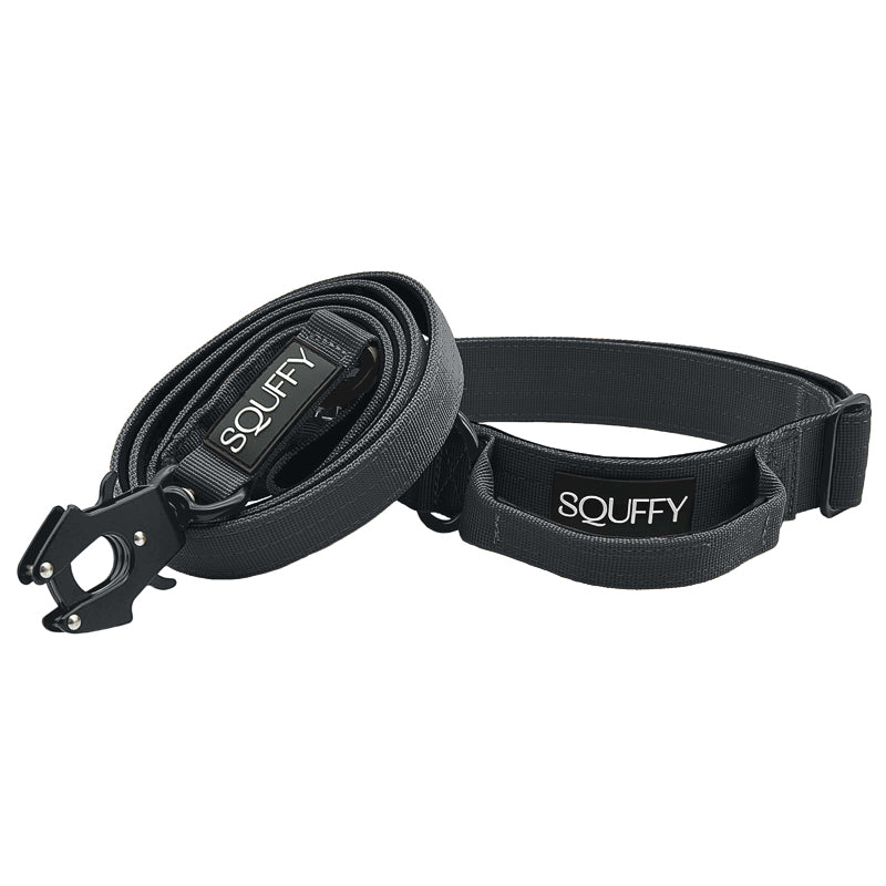 Taktisches Hundehalsband Raven Vex Schwarz