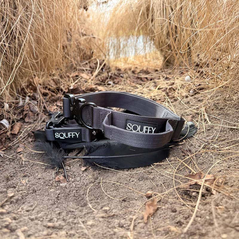 Taktisches Hundehalsband Raven Vex Schwarz