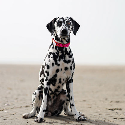 Klassisches Hundehalsband Ruby Gale Rubinrot
