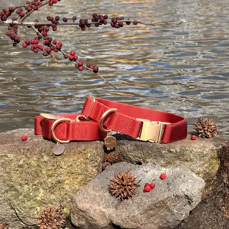 Klassisches Hundehalsband Ruby Gale Rubinrot