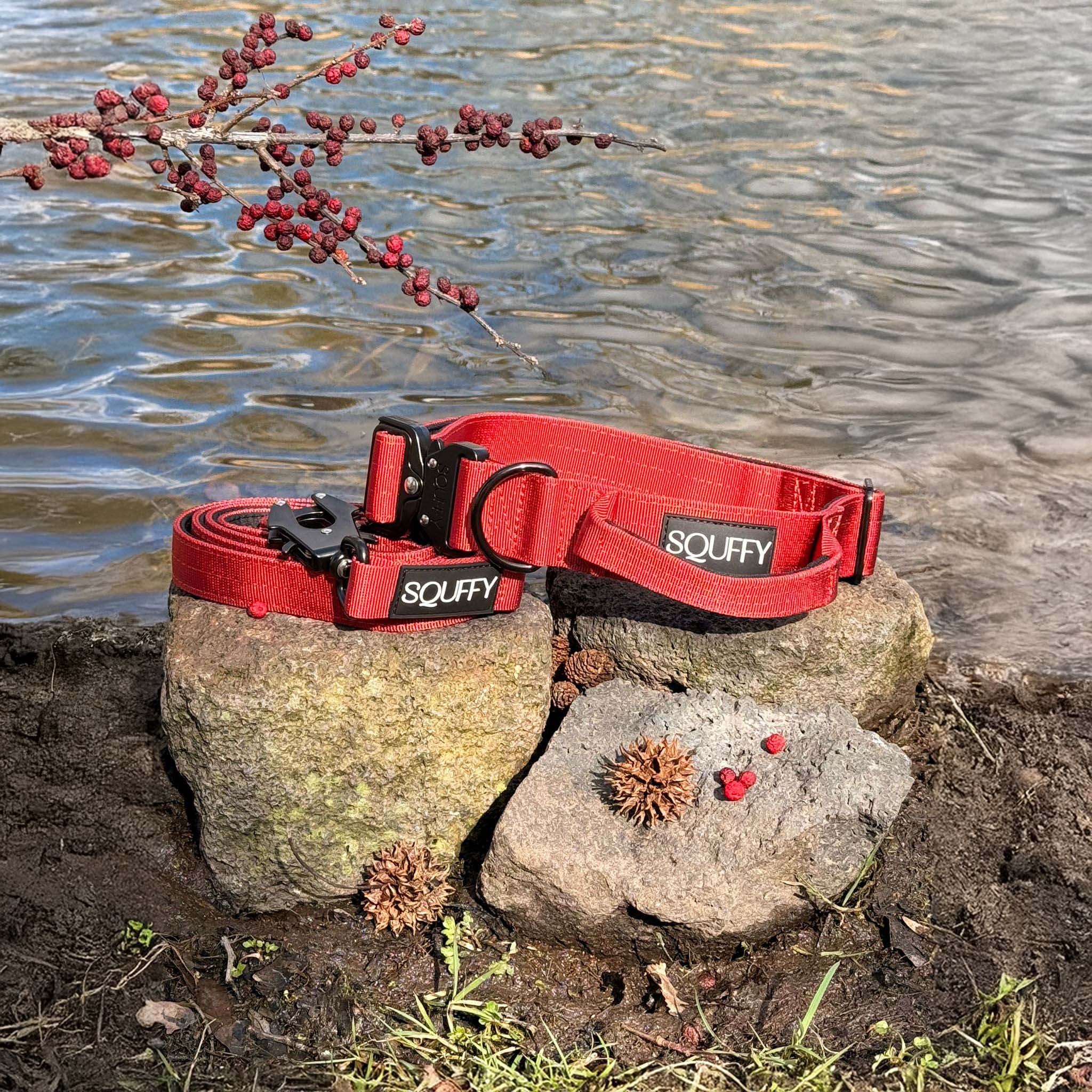 Taktisches Hundehalsband Ruby Vandal Rubinrot
