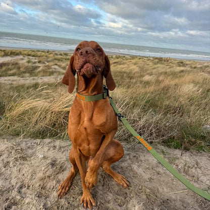 Taktische Hundeleine Moss Forge Olivgrün