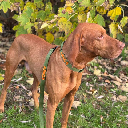 Taktische Hundeleine Moss Forge Olivgrün