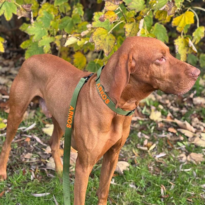 Taktische Hundeleine Moss Forge Olivgrün